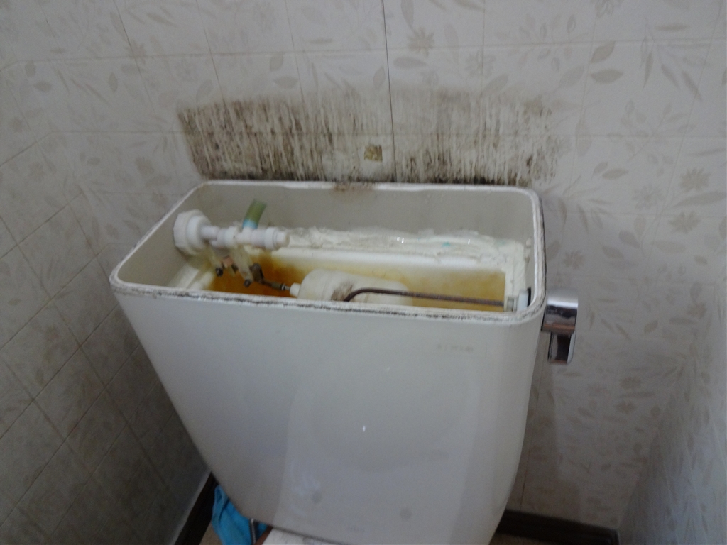 洗面化粧台と1 2fトイレが気になって 1fトイレ 施工事例 静岡県でリフォームをするならリフォームのひろば