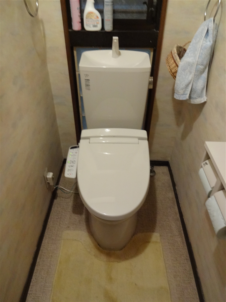 マンションのトイレだけを取替えてください。