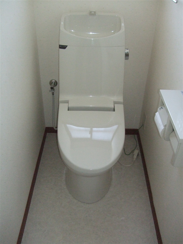 いつまでもこのままのトイレでは・・・？