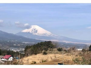 箱根途中より