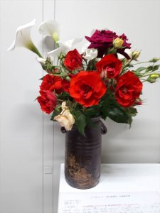 真っ赤な薔薇が咲きました!