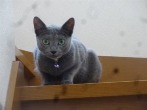 しっかり見てますよ!