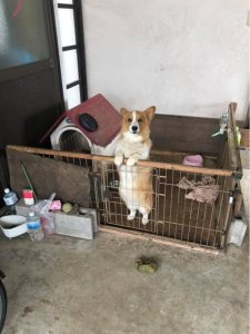 おっ!今日もお願いします。