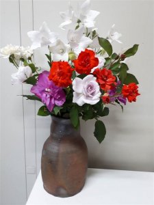 今日は薔薇たくさん!