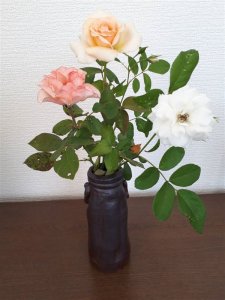 毎日薔薇。