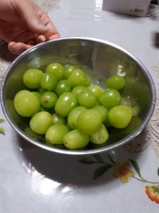 シャインマスカット美味い!