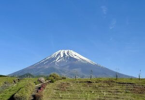 富士山　サファリパークより