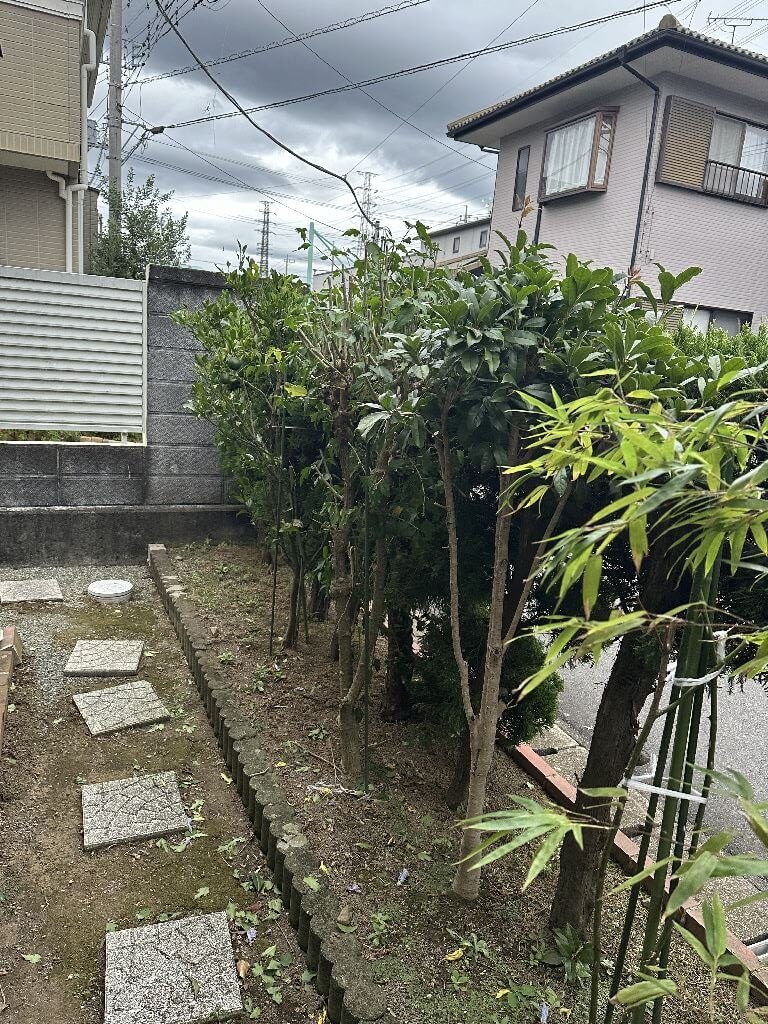 植木伐採をお願いします。