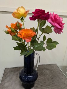 薔薇4種