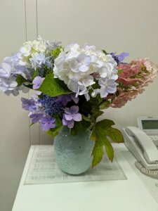 紫陽花