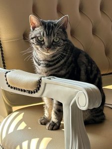 ジャック