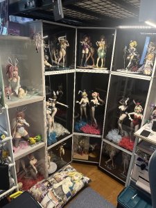 フィギア　コレクター