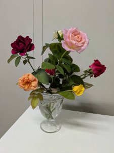 4種のバラ